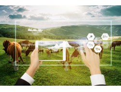 918.com(中国区)官方网站