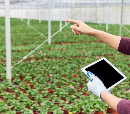 918.com(中国区)官方网站